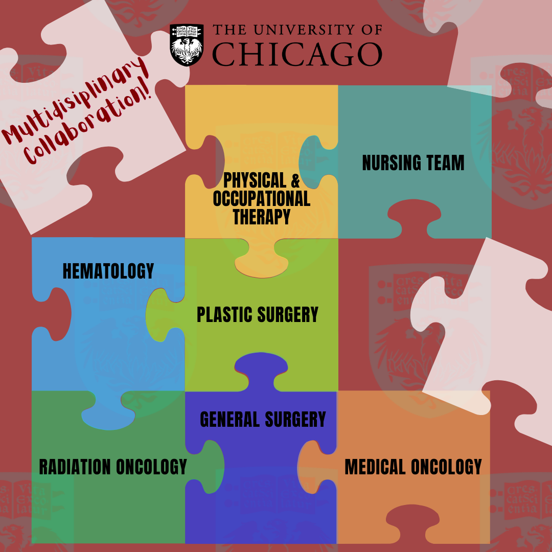 Connecting puzzle pieces representing the interdisciplinary and interprofessional nature of the symposium.