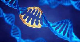 Identifying and Managing Patients with Monogenic Diabetes