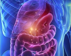 University of Chicago Pancreas Symposium: Pancreatic Cysts and Cancer