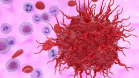 Novel Multidisciplinary Strategies for the Treatment of Neuroendocrine Tumors